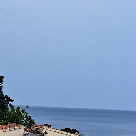 דירות Petrovac The Four Fish מראה חיצוני תמונה